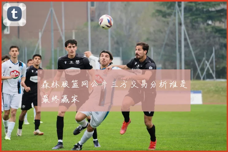 森林狼篮网公牛三方交易分析谁是最终赢家