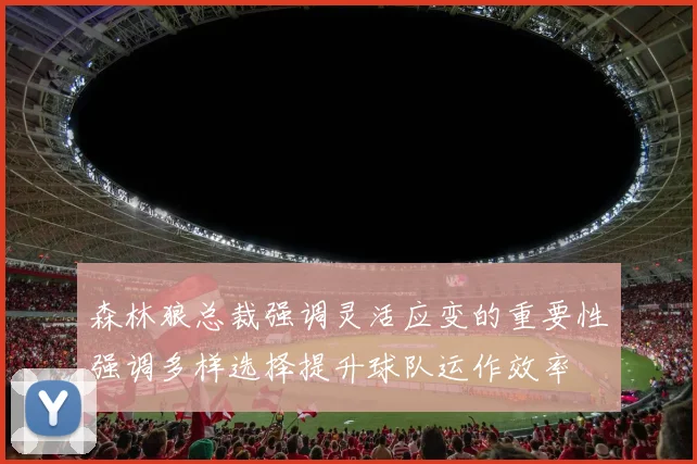 森林狼总裁强调灵活应变的重要性强调多样选择提升球队运作效率